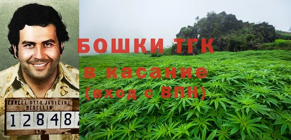 дмт Билибино