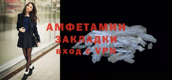 прущие грибы Бикин