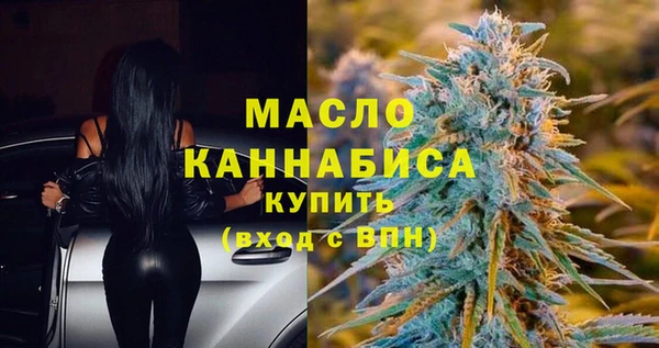 дмт Билибино