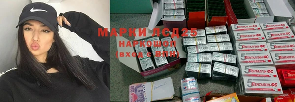 прущие грибы Бикин