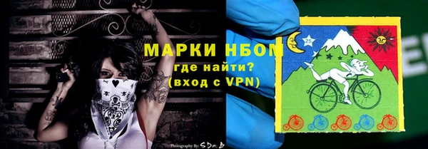 прущие грибы Бикин